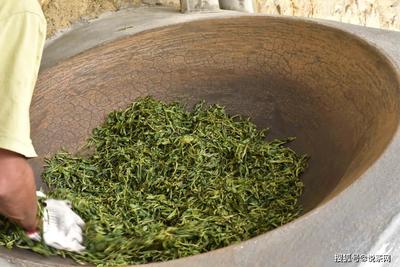 精加工與初加工的普洱茶差別在哪里?很多茶發貨晚,原因在這里