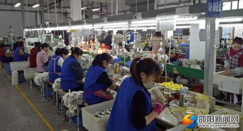 高質(zhì)量推動快發(fā)展 邵陽洞口經(jīng)濟開發(fā)區(qū)實現(xiàn)高效推進