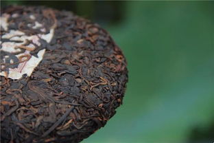 元昌全國茶友培養計劃