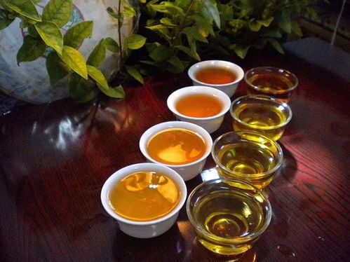 陜西推廣地域特色產(chǎn)業(yè) 86個(gè)地標(biāo)產(chǎn)品成脫貧富民 金招牌