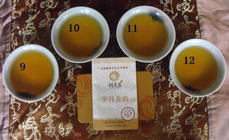 一茶一世界，一飲一傾心 潤元昌歲月金韻茶樣試喝體驗